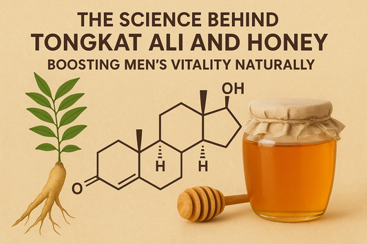 The Science Behind Tongkat Ali and Honey: Boosting Men’s Vitality Naturally